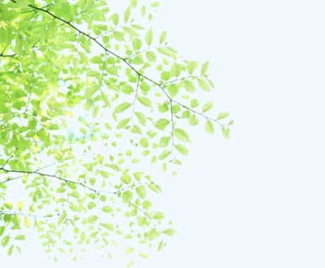 両眼の画像をみて、霊視します お相手のお気持ち、ペットの気持ち、等お話します イメージ1