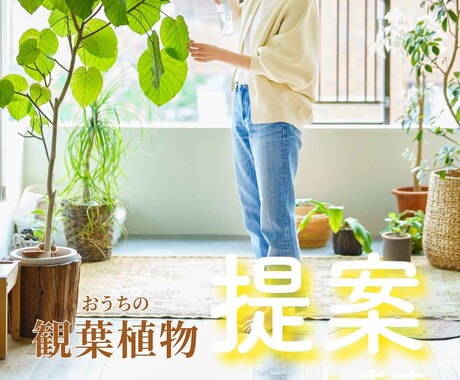 観葉植物のお悩み解決アドバイスします 庭木のご相談も！あなたにぴったりの植物を知りたい方へ イメージ1