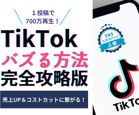 TikTok運用で成功するためのアドバイスをします 【1000万回再生】他数十万再生連発！ショート動画初心者歓迎 イメージ1