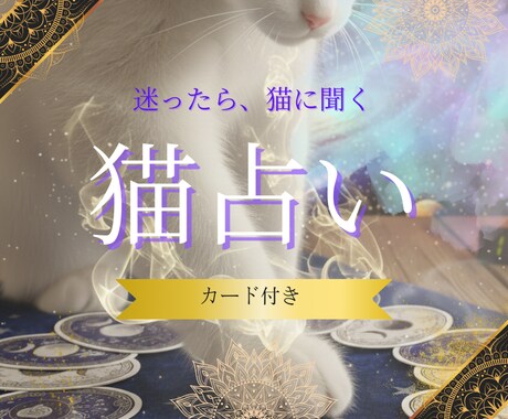 5名【限定】迷い猫が1枚で答えるミニ占いをします ワンオラクルで今の運命をやさしく鑑定 イメージ1