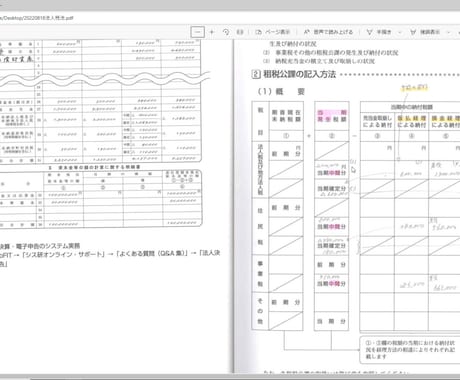 決算書などの帳簿を中国語に翻訳いたします 日本や中国の関係者に母国語での帳簿を提供、信頼性を高めます。 イメージ2