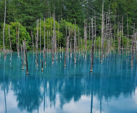 北海道の風景画像をお届けします イメージ1