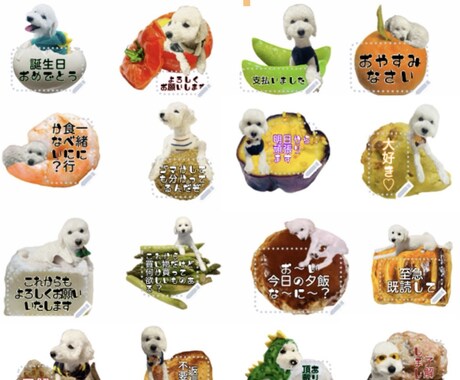 可愛いペットをLINEメッセージスタンプにします 可愛いペット写真を個性的なLINEメッセージスタンプにします イメージ2