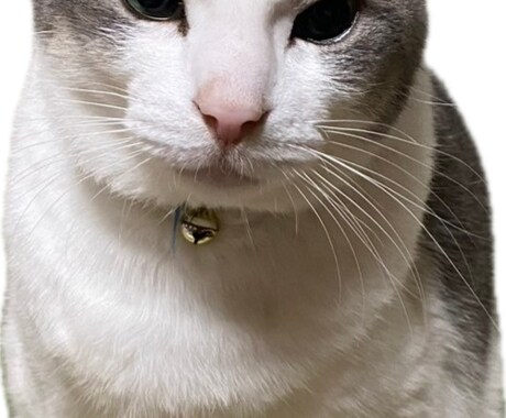 経験豊富なアラ還社長こばじぃがお話し伺います 鬱な気持ちに寄り添い、起業も視野に可能性を気付かせます。 イメージ2