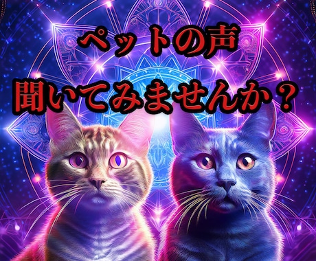 アニマルコミュニケーションをします ペットの気持ち、聞いてみませんか？想いを通じ合いましょう イメージ1