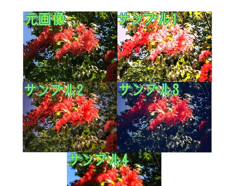 5枚まで料金一律！写真の雰囲気をガラッと変えます 画像の編集や加工をやりたくてもやり方がよくわからない人に！！ イメージ1