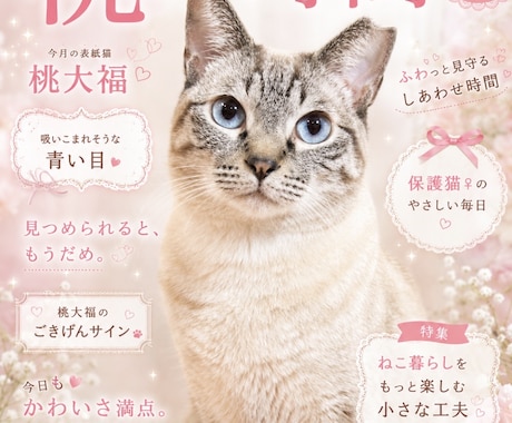 うちの子、雑誌デビューします ペット写真を表紙みたいな一枚に イメージ2