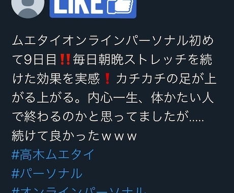 オンラインでキックボクシングお教えします 自宅でこっそり強くなる！アナタだけのオリジナルカリキュラム！ イメージ2