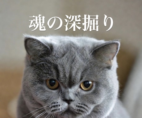 霊視で魂を深掘ります 本来のあなたと前世、現世の使命を視通します イメージ1