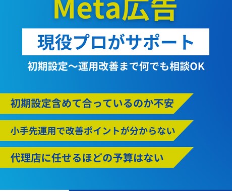 Meta広告の運用改善＆初期設定支援します 現役プロが徹底運用サポート！インスタ広告Facebook広告 イメージ1