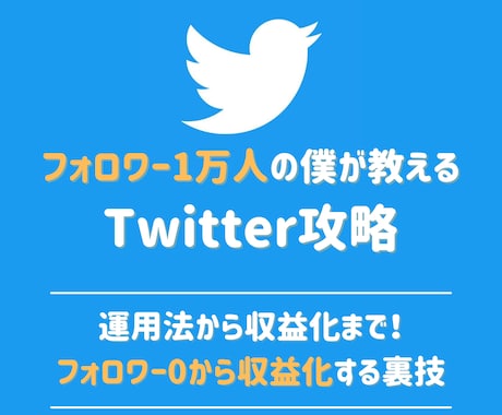 フォロワー1万人の僕が『ツイッター運用法』教えます 基礎知識〜フォロワー0でも『今すぐできる』収益化の裏技まで イメージ1