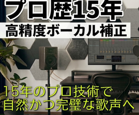 プロ歴15年。歌声のピッチ・リズムを精密補正します 高精度ボーカル補正。15年のプロ技術で自然かつ完璧な歌声へ イメージ1