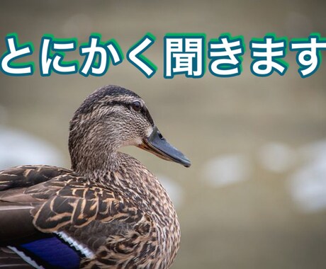 とにかく聞きます 悩み相談ほどじゃないけど聞いてほしいことがある方へ イメージ1