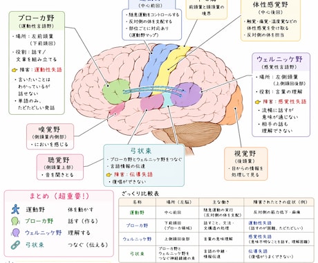 新人看護師向けのあんちょこ107種類あります 現場でそのまま使えるあんちょこはココだけ イメージ2