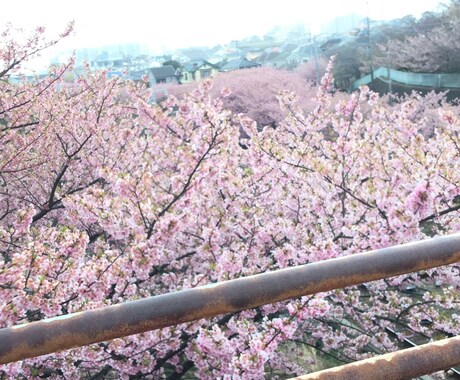 悩んでる居る方のお話を聞きます モヤモヤな気持ちをハッピーな気持ちに変えるお手伝いします！ イメージ1