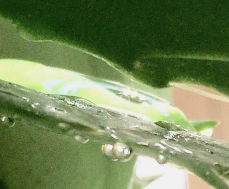 守護霊さまよりメッセージお届けします ☆もやもやと不安でいっぱいの方へ一言☆ イメージ1