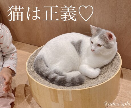 あなただけの３０分❤️秘密の友達や彼女になります 通勤中.休憩.暇つぶし.不眠症.寂しい.孤独.癒し.楽しい♡ イメージ2