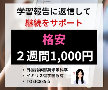 最短即日レス！2週間制限なしで英語の質問に答えます 格安で質問し放題！専属サポーターとして幅広い質問に答えます！ イメージ1