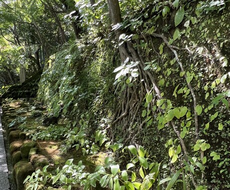 素敵な旅プランを選択いたします 国内限定(日帰り対応)であなたにあった旅プランを紹介します イメージ2