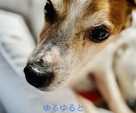 愚痴や悩みきかせてください。寄り添います 精神保健福祉分野ならお話しできることもあります。 イメージ1