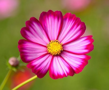 男性限定。あなたを癒します 弱音も、甘えも、だらしなくても、そのままでいいよ^ - ^ イメージ2