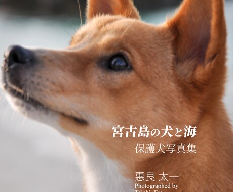 Amazonで写真集出版するためのサポートをします Amazonなら電子写真集、紙の写真集どちらもつくれます。 イメージ2