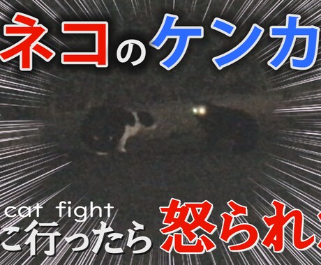 動画にテロップ入れます 3日～５日以内での納品を心がけます イメージ2