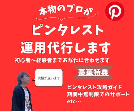 完全丸投げOK！拡散付でピンタレスト運用代行します 他の方とは実績が違う！圧倒的投稿数&独自メソッドで伸ばします イメージ1