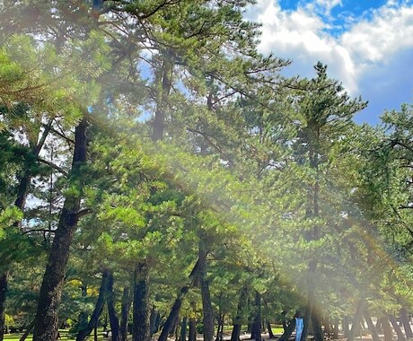 ２４時間あなたの味方です！何でも寄り添います 電話はちょっと…という方にオススメです⭐︎ イメージ1