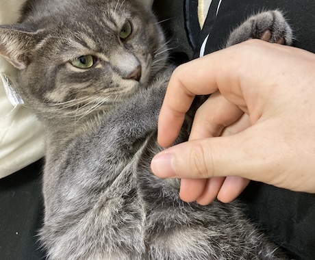 ワードプレス  保守開発、修正対応します 素早く修正！困ったら単発で対応しますよー！ イメージ1