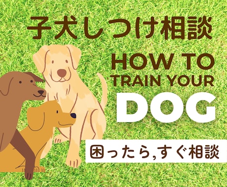 犬しつけお悩み相談-現役トレーナーが助言いたします 今の状況に合う対策をアドバイス イメージ1