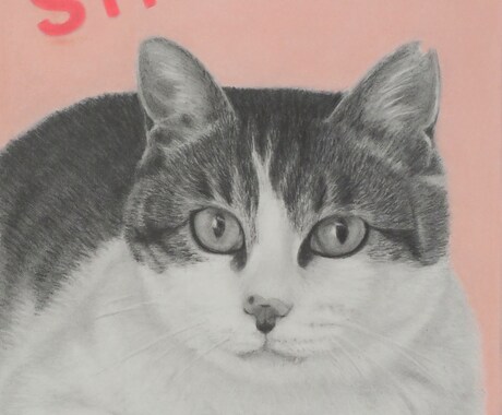 先着10名様特別価格！鉛筆でペットの似顔絵描きます 写真ではないオリジナルの１枚を イメージ2