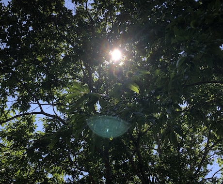 チャット/貴方の「自然」に寄り添ってお話聞きます 自分の心身をゆっくり見つめたくなったら・・・ イメージ2