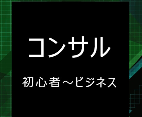 初心者～ビジネス実践英会話のコンサルをします 第二言語習得論に基づくスピーキング力重視の英会話レッスン イメージ1