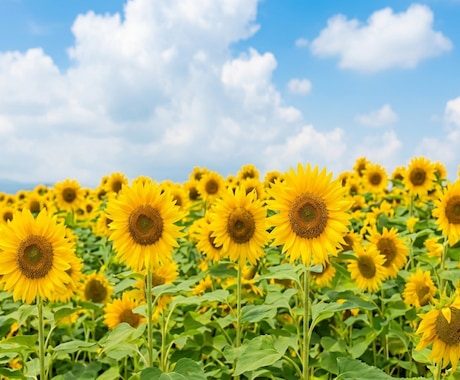 ちょっときいて！話したいとき、すぐききます いつでもここでまってるよ！あなたの親友だからねっ❣ イメージ2