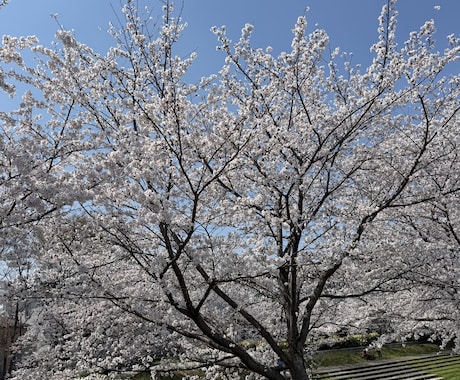 じっくりお聞きします 誰にも言えない話、ぽちこに聞かせてください。 イメージ1