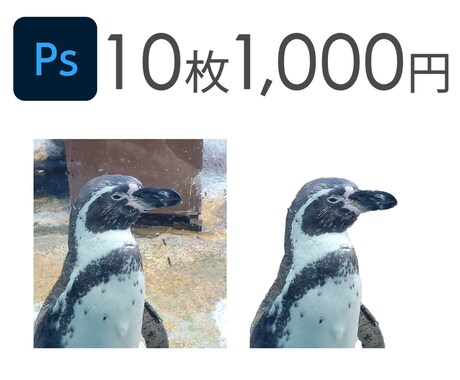 写真切り抜き10枚1,000円で承ります 低価格でなるべく早くご提供します イメージ1