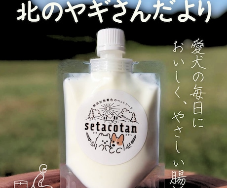 おしゃれで見やすく、「売れる」チラシ作ります 商品の魅力を引き出します＜カフェ・サロン・個人店さま歓迎＞ イメージ1