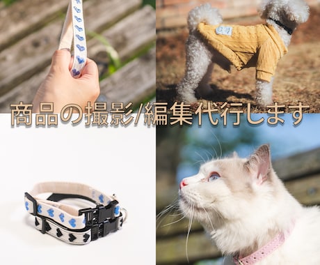 カメラマンによる商品撮影/画像の編集代行を行います 商品撮影/編集代行 1商品(1商品10枚まで)　16000円 イメージ1
