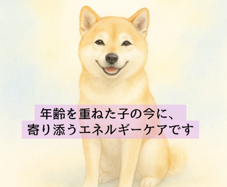 シニア犬猫専門｜遠隔レイキヒーリングをお届けします 高齢のわんちゃん・ねこちゃんのための優しいヒーリングケア イメージ2