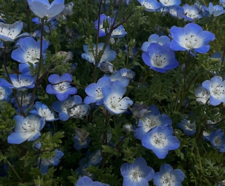 子育ての不安や不満を解消します うまくいかないこと、腹が立つこといくらでもお話しください。 イメージ1