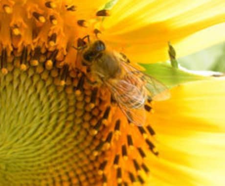 人間関係全般のご相談受けます 人間関係全般のお悩み解決します イメージ1