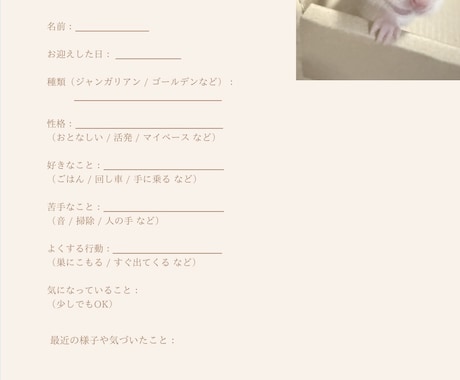 がんばりすぎないハムスター飼育ノートを提供します 正しさに疲れた方へ、やさしい飼育ノート イメージ2