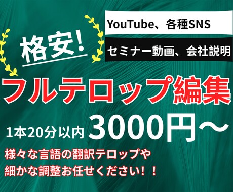 動画にカットテロップ編集を行い、完成度を上げます 動画の完成度を上げる見やすくするテロップ編集をします。 イメージ1