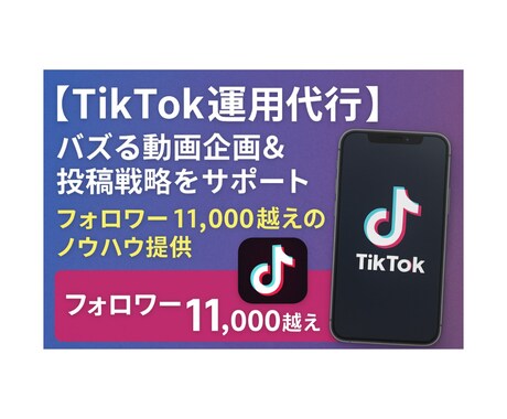 任せるならプロに！心を込めて対応します フォロワー1.1万人がバズる動画企画と運用をサポートします！ イメージ1