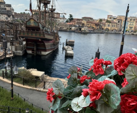 主にディズニーランド、シーの写真素材を提供致します まるで自分自身がその場に居るような一人称視点の撮影をします！ イメージ2