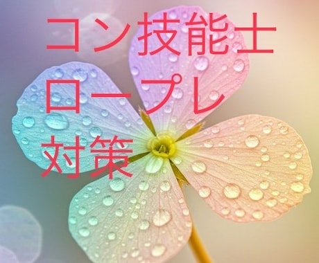 2級キャリコン技能士ロープレ対策します あなたの強みと課題を見つけ合格のイメージを一緒に支援します。 イメージ1