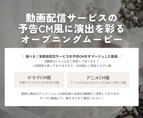 Netflixの予告CM風オープニングを作ります 修正無制限◎ 写真素材など、必要情報をお送りいただくだけ！ イメージ2