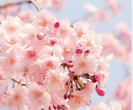 とにかく今すぐ答えがほしい方へお届けします 迷った時のYES/NO霊視ペンデュラム鑑定で迷い解消へ イメージ1