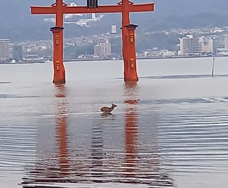 あなたの恋愛、タロットで導きます どんなお悩みでもタロットが導きます イメージ1